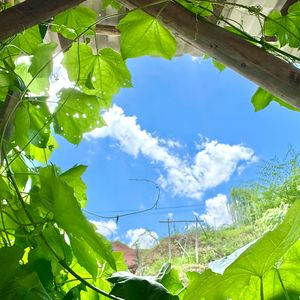 午夜地下的不安回响