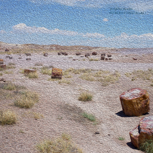Petrified Forest National Park, Windscape, October 2:47PM
