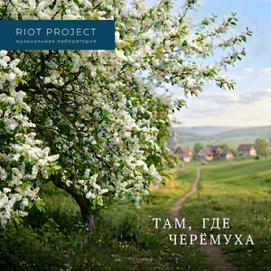 Там, где черемуха