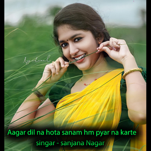 Aagar dil na hota sanam hm pyar na karte