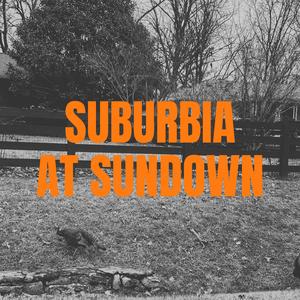 Suburbia at Sundown