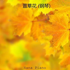 萱草花 (钢琴)