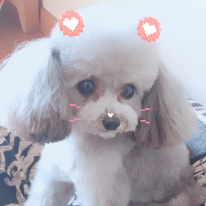 陪你到老（剧情版）（翻自 根小八）