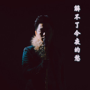 解不了今夜的愁 (DJ雨义博版)