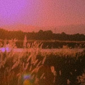 群星-南山南伴奏（柯柯JlY remix）