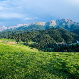 暖阳轻语 (疗愈古琴)