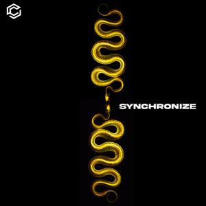 Synchronize