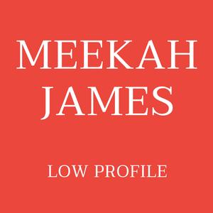 Low Profile (feat. The Boom Klak Collective)