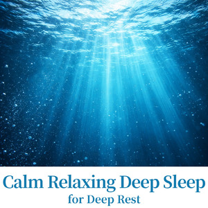 Ocean Waves Calm Relaxation