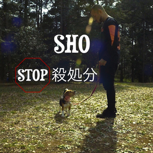 Stop殺処分