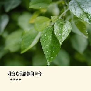 我喜欢你静静的声音