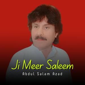 Ji Meer Saleem