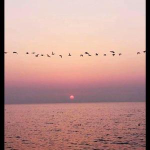 我不是你的宋东野