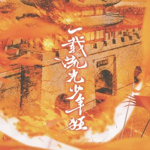 一载流光少年狂