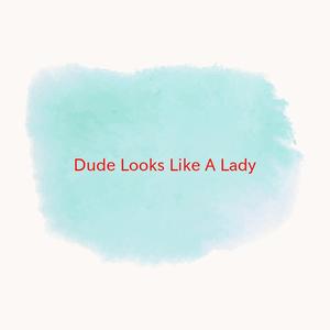 Dude (Looks Like A Lady) (Karaoke tribute version originally performed by Aerosmith)