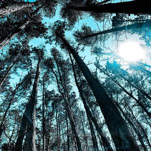 Eres la Sombra (feat. Sincro & Gery Montenegro) (Radio Edit)