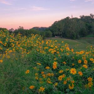 忽然之间(吉他版)