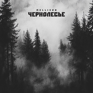 Чернолесье