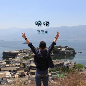 晚婚（豆豆龙）（翻自 李宗盛）