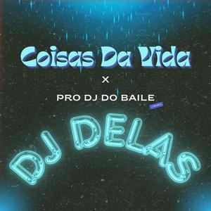 COISAS DA VIDA x PRO DJ DO BAILE (feat. MC ROGE & MC CACAU CHU)