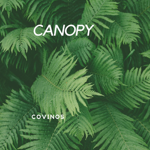 Canopy