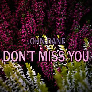 Don't Miss You