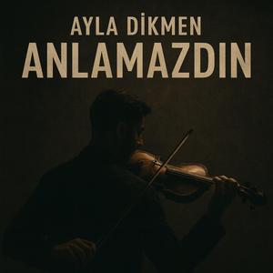 Anlamazdın
