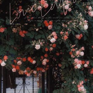 你像遥远的星辰