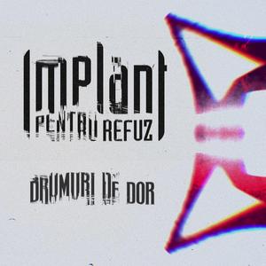 Drumuri de dor