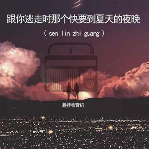 跟你逃走时那个快要到夏天的夜晚（Phosphenes）