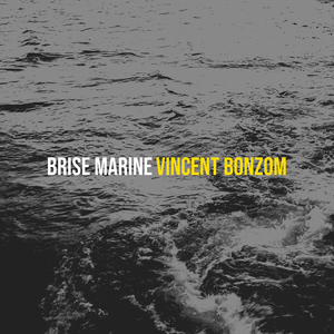 Brise marine