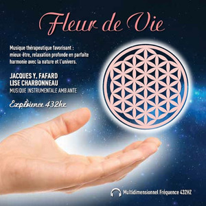 Simplicité (Wabi-Sabi)