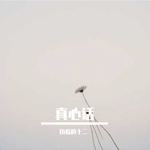 真心话