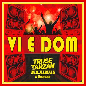 VI E DOM (feat. Truse Tarzan)