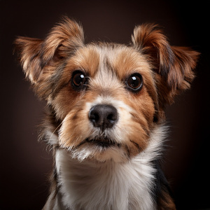 Frotaciones En La Barriga Y Acordes Calmados