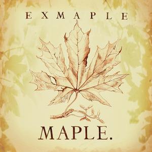 Maple