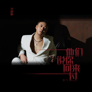 他们说你回来过（苦情版）
