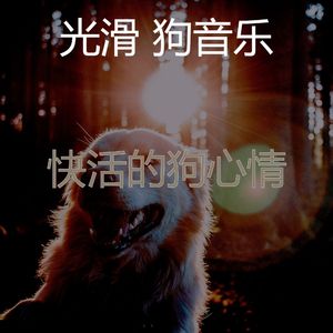 有趣小狗情怀