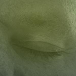 Chabun thirteen