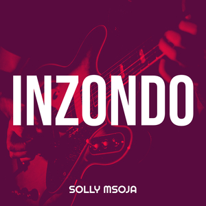 Inzondo