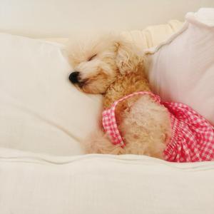 내 인생 절반을 떼어주고 싶던 너에게