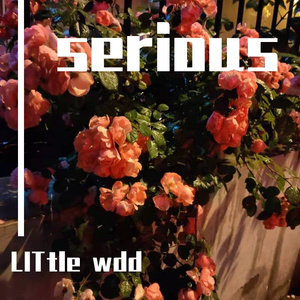 Serious（prod by LITtle）