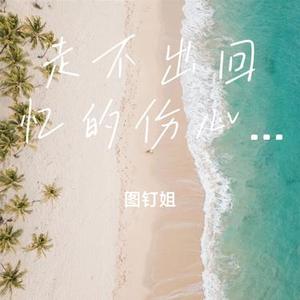 走不出回忆的伤心人 (Cover 陈婧菲)