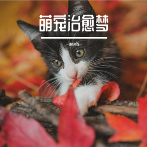 萌宠治愈梦