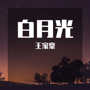 白月光