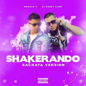 Shakerando (Bachata Remix)
