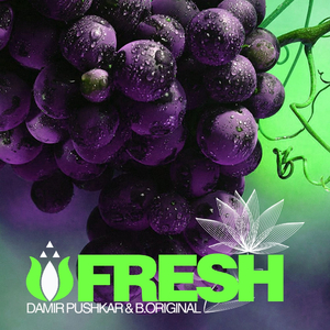 Fresh (Original Mix)