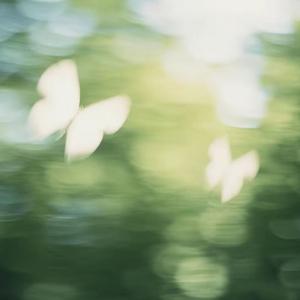 你的酒馆对我打了烊（温柔女版）