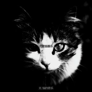 有趣可爱的猫情怀