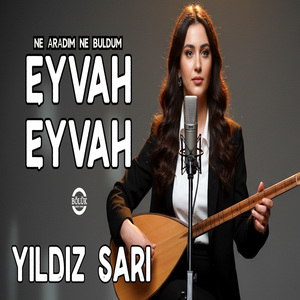 Eyvah Eyvah